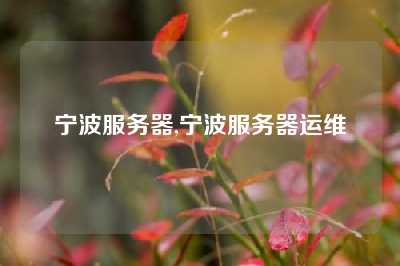 宁波服务器,宁波服务器运维
