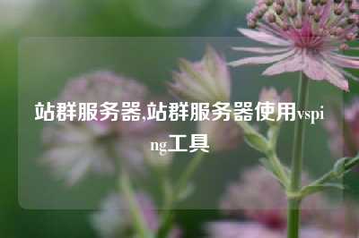 站群服务器,站群服务器使用vsping工具
