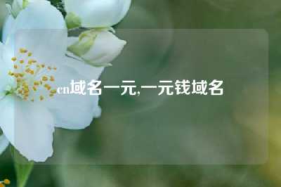cn域名一元,一元钱域名