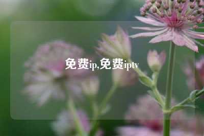 免费ip,免费iptv