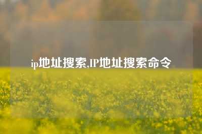 ip地址搜索,IP地址搜索命令