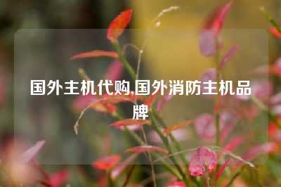 国外主机代购,国外消防主机品牌