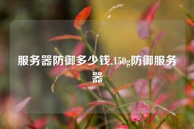 服务器防御多少钱,150g防御服务器