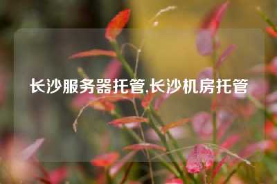 长沙服务器托管,长沙机房托管