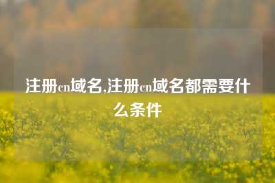 注册cn域名,注册cn域名都需要什么条件