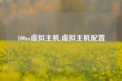 100m虚拟主机,虚拟主机配置