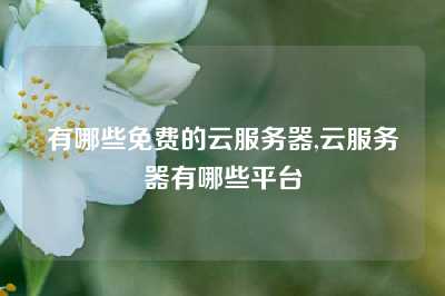 有哪些免费的云服务器,云服务器有哪些平台