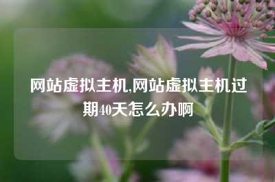 网站虚拟主机,网站虚拟主机过期40天怎么办啊