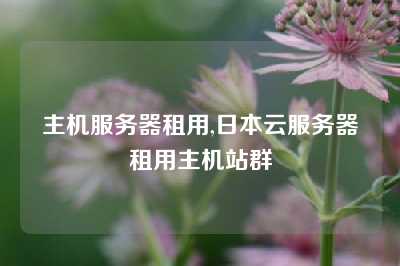 主机服务器租用,日本云服务器租用主机站群