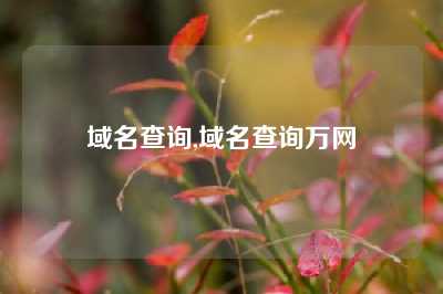 域名查询,域名查询万网
