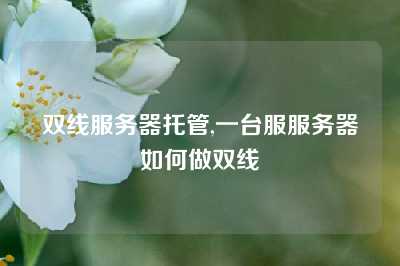 双线服务器托管,一台服服务器如何做双线