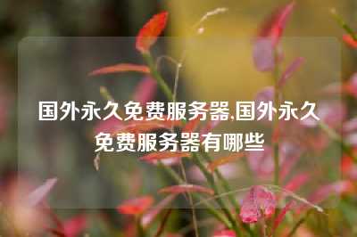 国外永久免费服务器,国外永久免费服务器有哪些