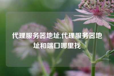 代理服务器地址,代理服务器地址和端口哪里找