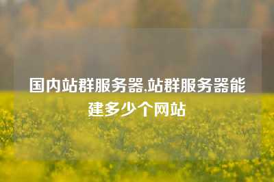 国内站群服务器,站群服务器能建多少个网站
