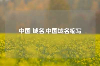 中国 域名,中国域名缩写