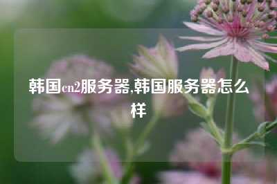韩国cn2服务器,韩国服务器怎么样