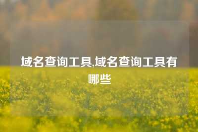 域名查询工具,域名查询工具有哪些