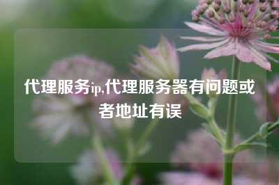 代理服务ip,代理服务器有问题或者地址有误