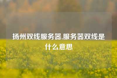 扬州双线服务器,服务器双线是什么意思