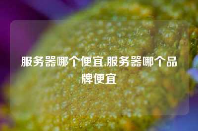 服务器哪个便宜,服务器哪个品牌便宜