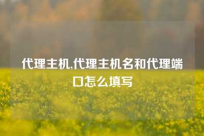 代理主机,代理主机名和代理端口怎么填写