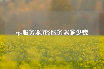 vps服务器,VPS服务器多少钱