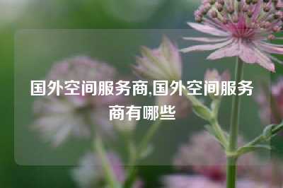 国外空间服务商,国外空间服务商有哪些