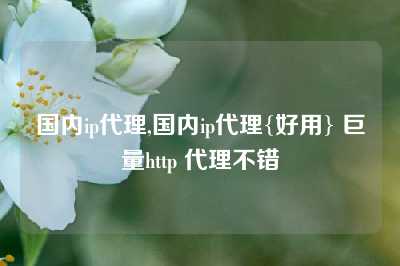 国内ip代理,国内ip代理{好用} 巨量http 代理不错