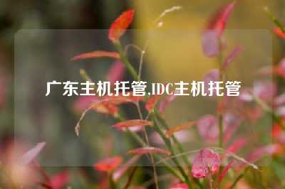 广东主机托管,IDC主机托管