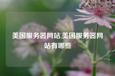 美国服务器网站,美国服务器网站有哪些