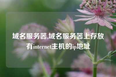 域名服务器,域名服务器上存放有internet主机的ip地址