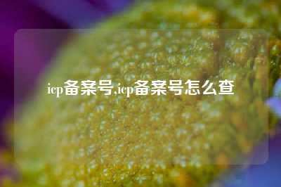 icp备案号,icp备案号怎么查