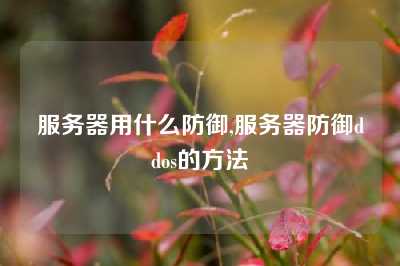 服务器用什么防御,服务器防御ddos的方法