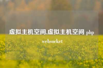 虚拟主机空间,虚拟主机空间 php websocket