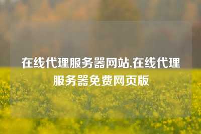 在线代理服务器网站,在线代理服务器免费网页版