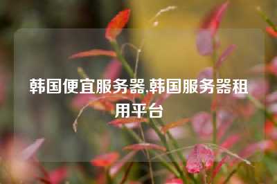 韩国便宜服务器,韩国服务器租用平台