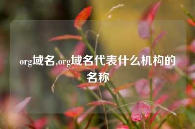 org域名,org域名代表什么机构的名称