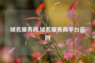 域名服务商,域名服务商平台官网