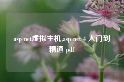 asp net虚拟主机,asp net 4 入门到精通 pdf