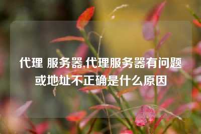 代理 服务器,代理服务器有问题或地址不正确是什么原因