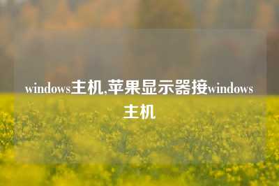 windows主机,苹果显示器接windows主机