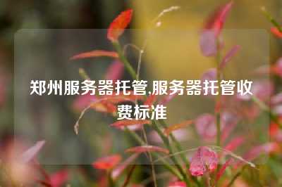 郑州服务器托管,服务器托管收费标准