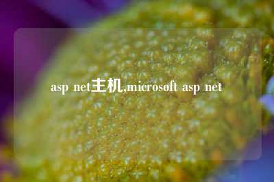 asp net主机,microsoft asp net