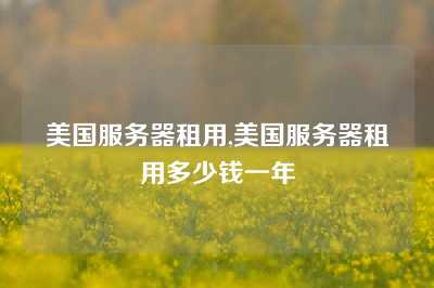 美国服务器租用,美国服务器租用多少钱一年