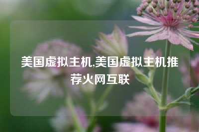 美国虚拟主机,美国虚拟主机推荐火网互联