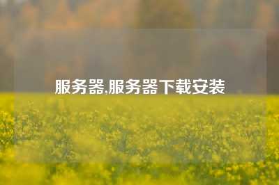 服务器,服务器下载安装