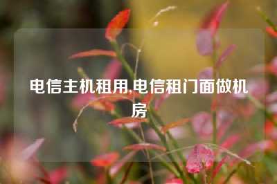 电信主机租用,电信租门面做机房