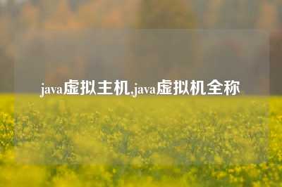 java虚拟主机,java虚拟机全称