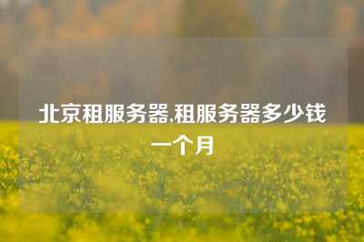 北京租服务器,租服务器多少钱一个月