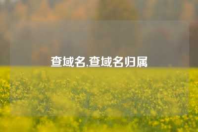 查域名,查域名归属
